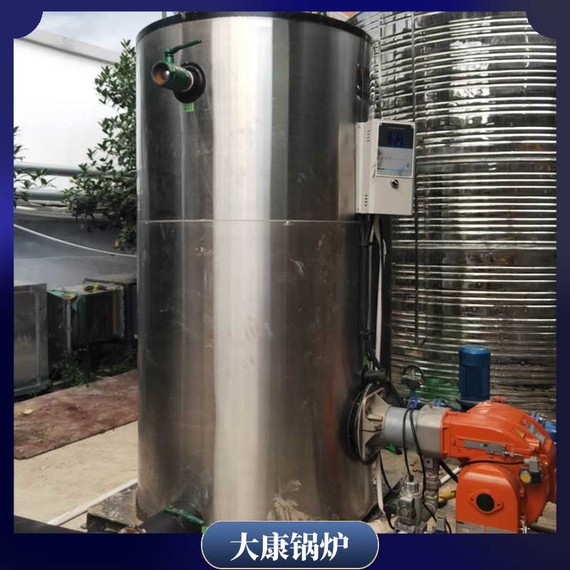 生物质成型燃料工业锅炉