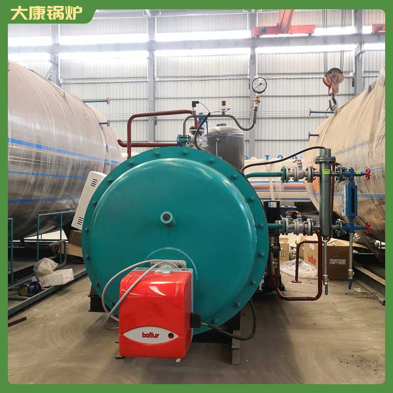 环保锅炉生物